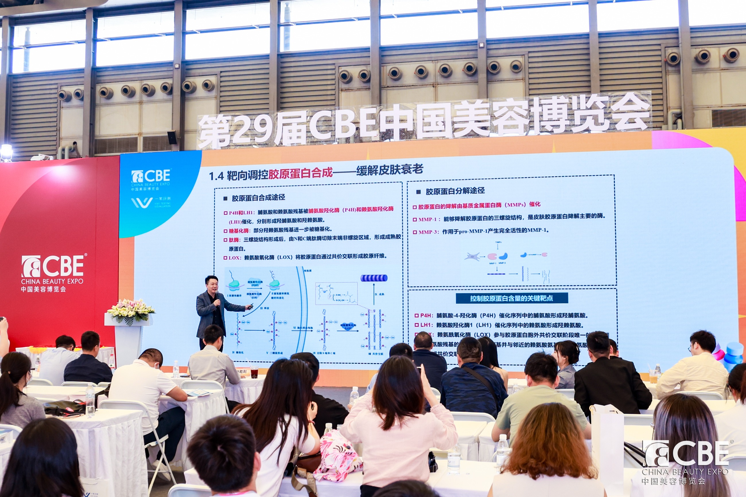 中国优游博览会