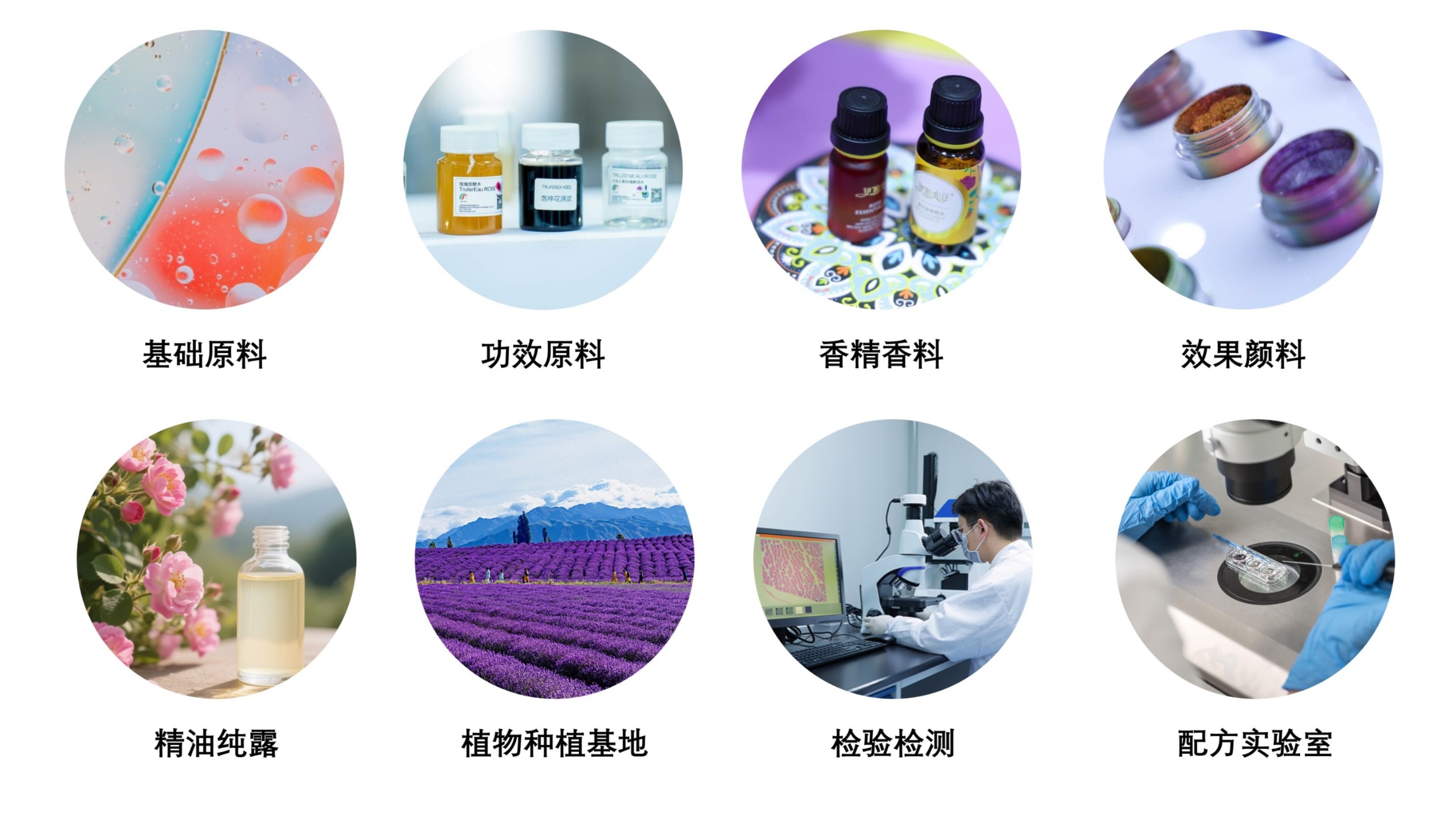 中国优游博览会