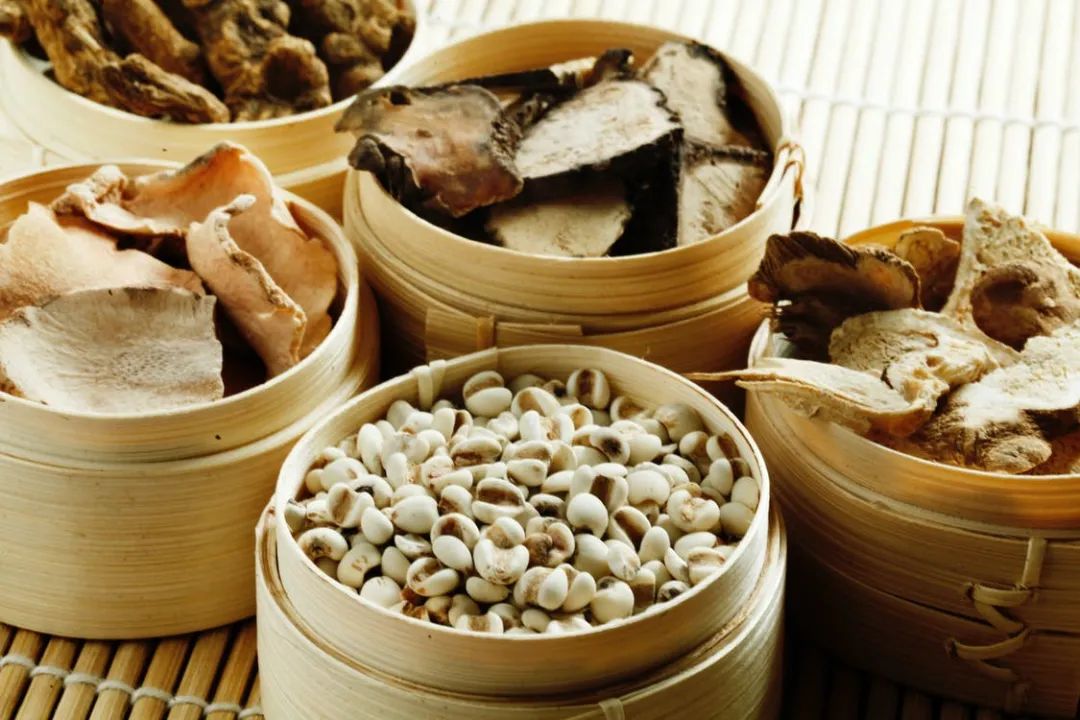 中国优游博览会 中国优游博览会