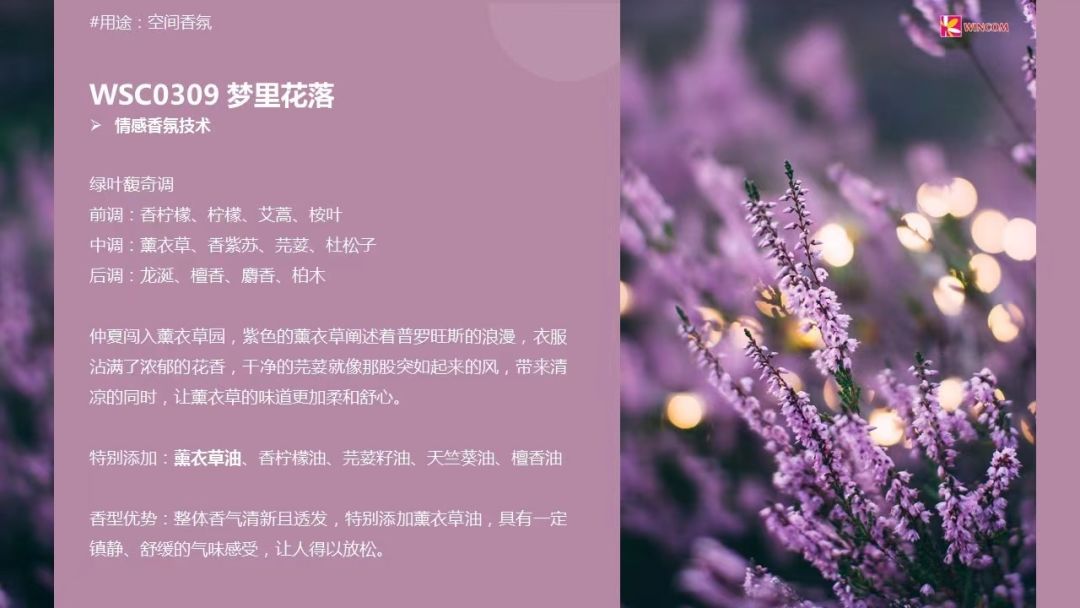中国优游博览会
