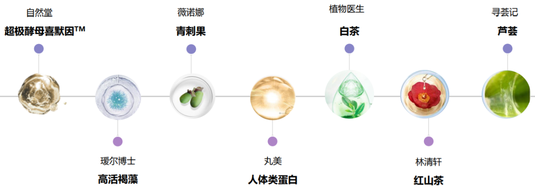 中国优游博览会