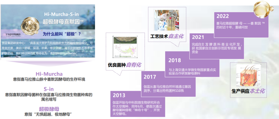 中国优游博览会