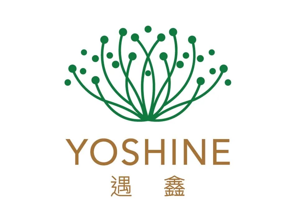 中国优游博览会